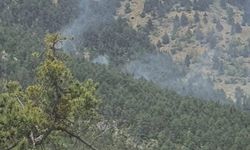 Saimbeyli’de çıkan orman yangını kontrol altIna alındı