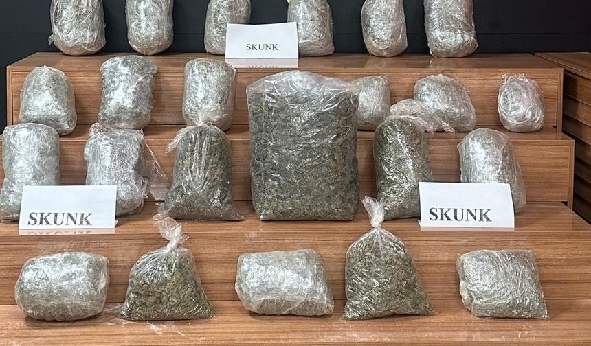 Şanlıurfa’da durdurulan araçtan 22 kilogram uyuşturucu çıktı
